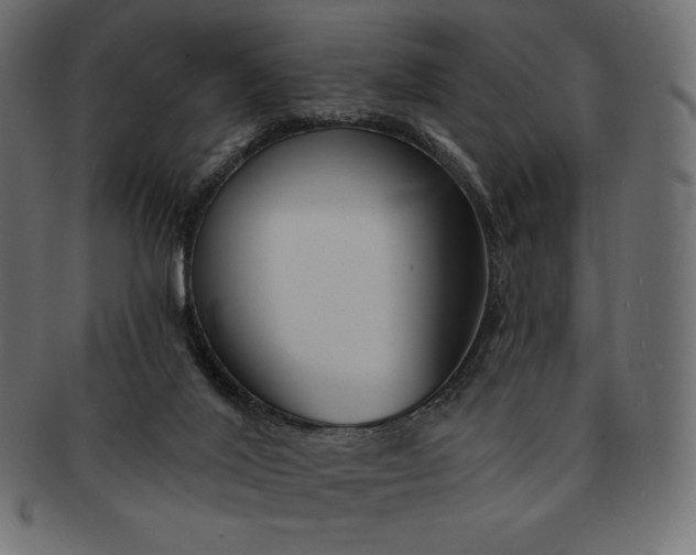 X0000091700020200709071400