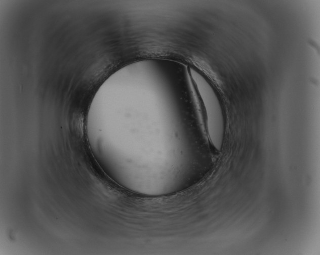 X0000091700021200709071400