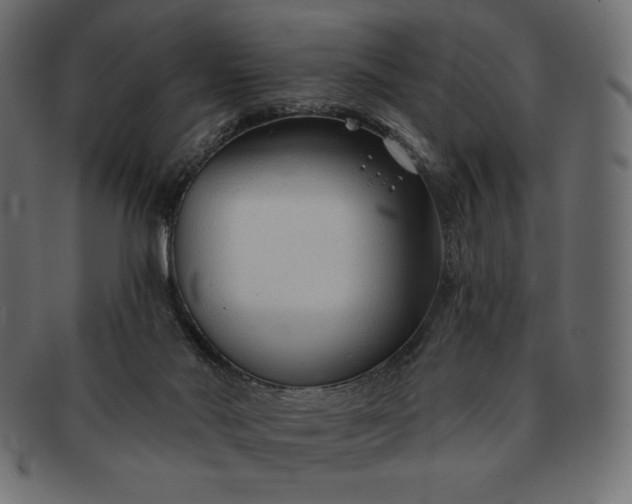 X0000091700022200709071400