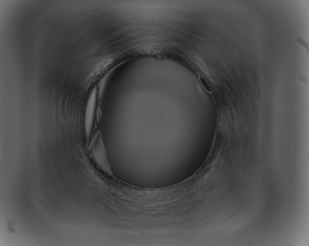 X0000091700023200709071400