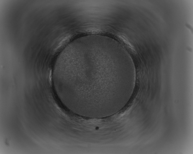 X0000091700024200709071400