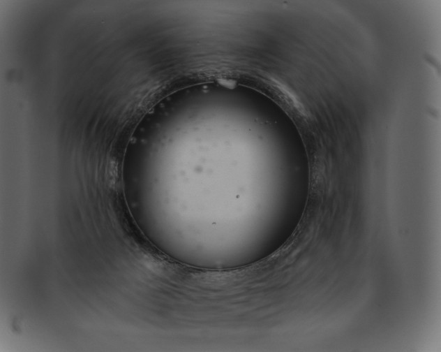 X0000091700025200709071400