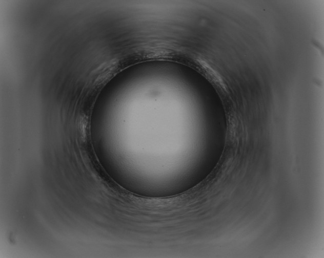 X0000091700026200709071400