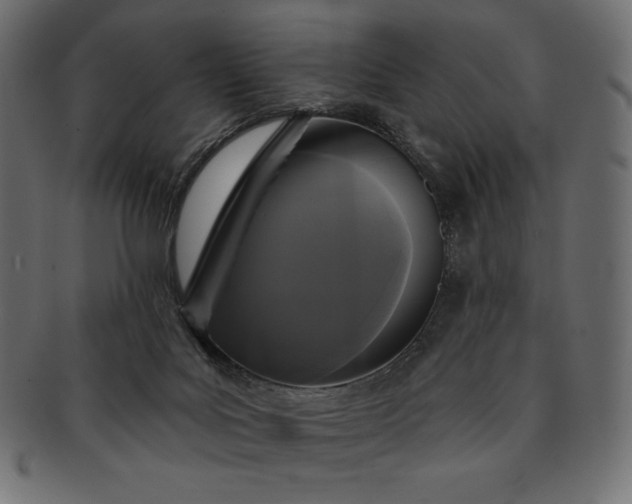 X0000091700027200709071400