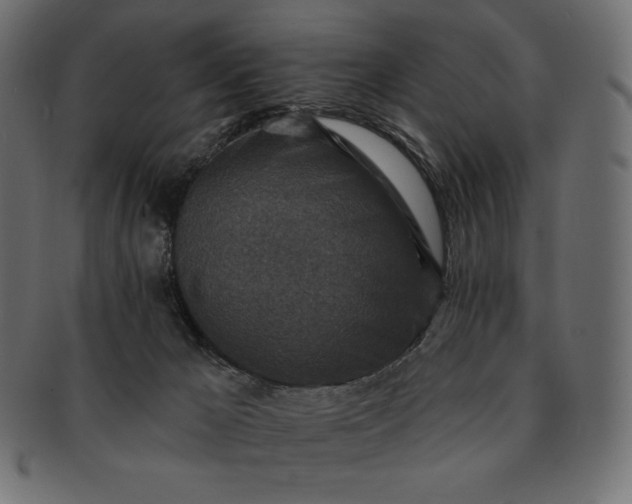 X0000091700029200709071400