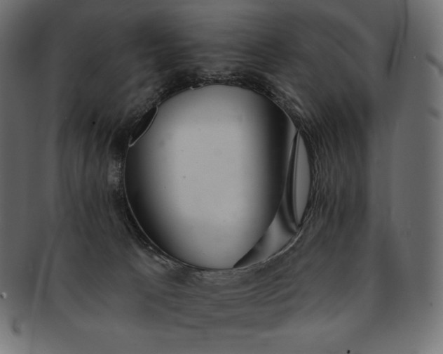 X0000091700033200709071359