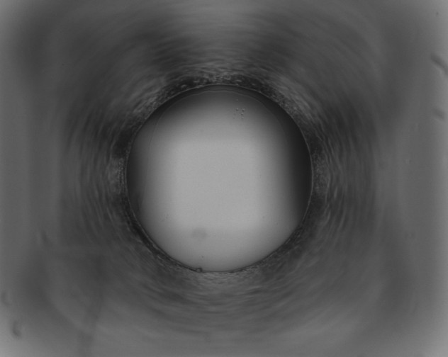 X0000091700034200709071359