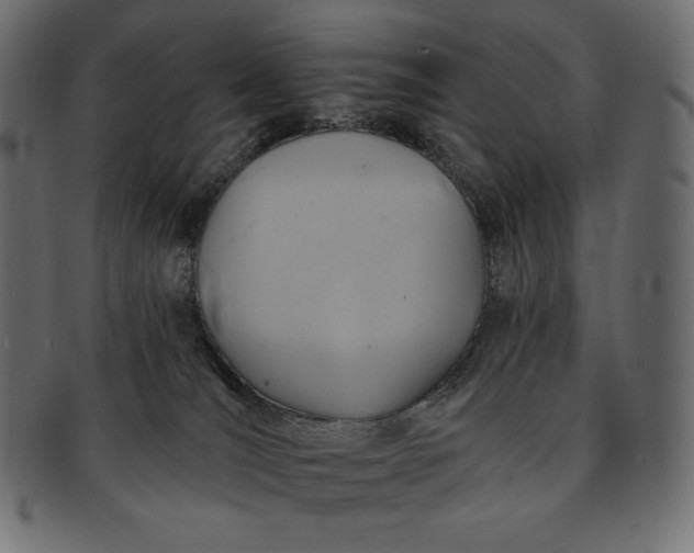 X0000091700036200709071359