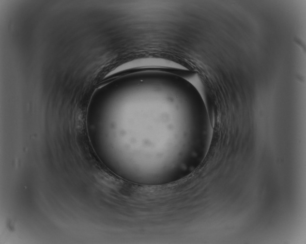 X0000091700037200709071359