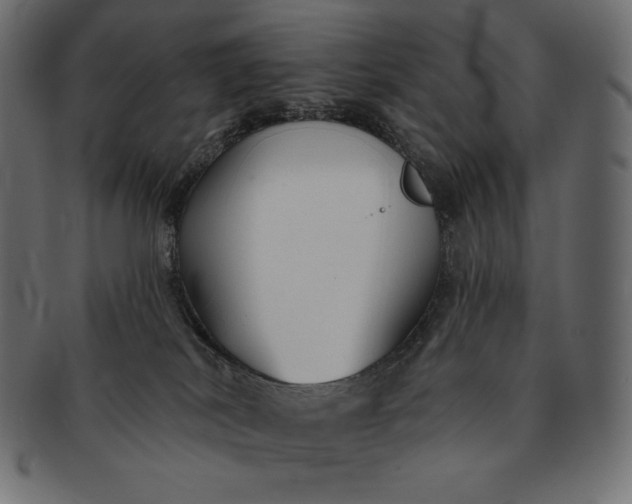 X0000091700038200709071359