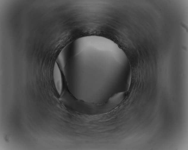 X0000091700039200709071359