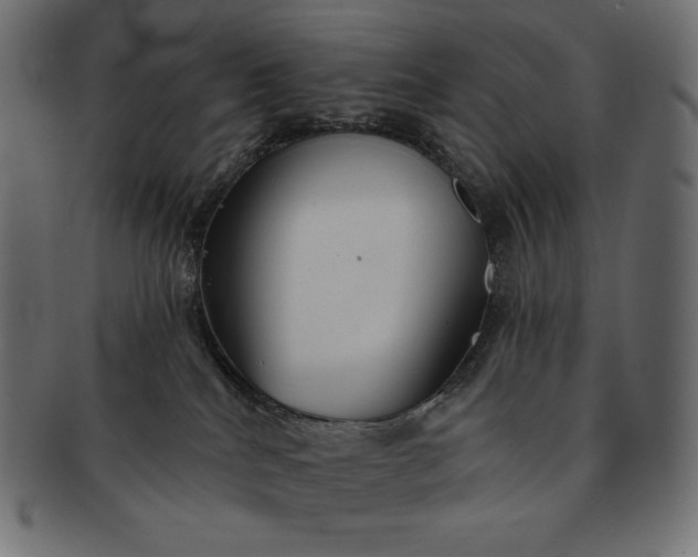 X0000091700040200709071359