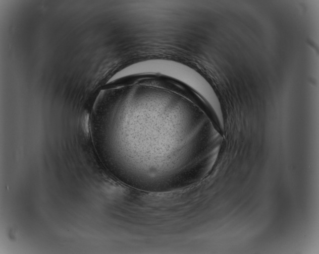 X0000091700041200709071359