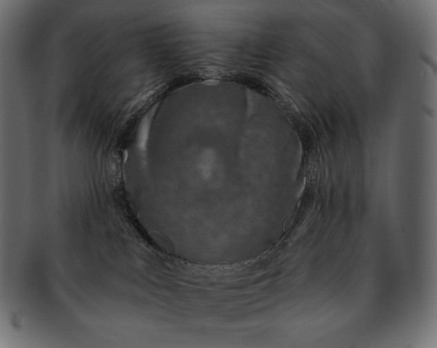 X0000091700043200709071359