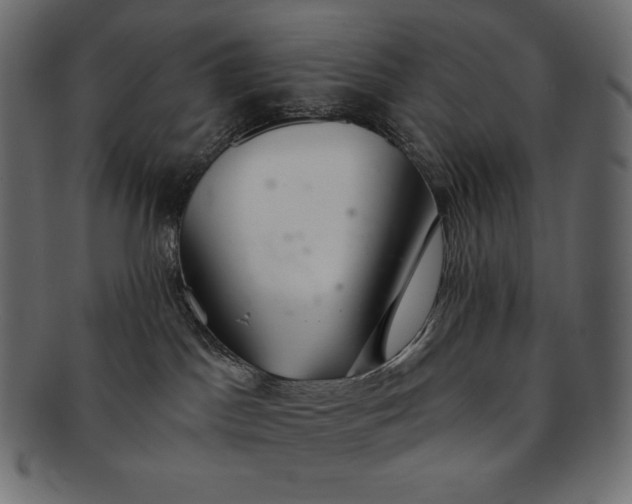 X0000091700045200709071359