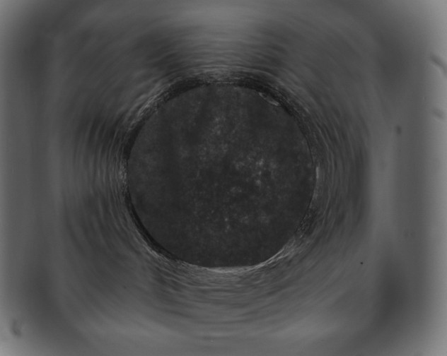 X0000091700048200709071359