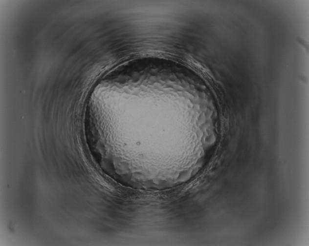 X0000091700049200709071358