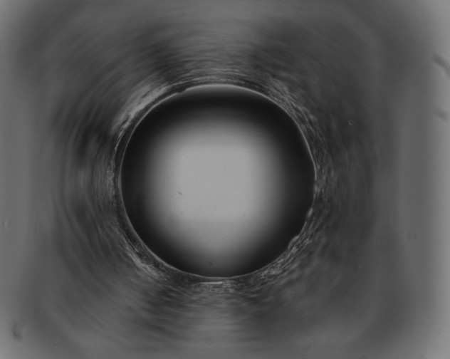 X0000091700050200709071358