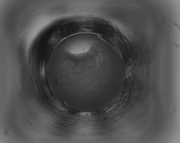 X0000091700052200709071359