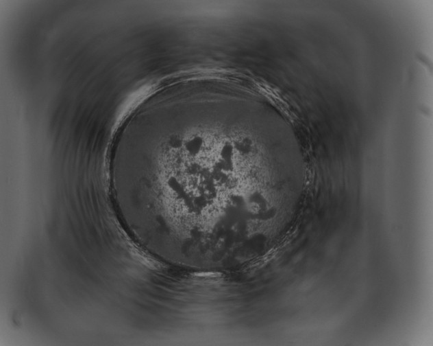 X0000091700053200709071359