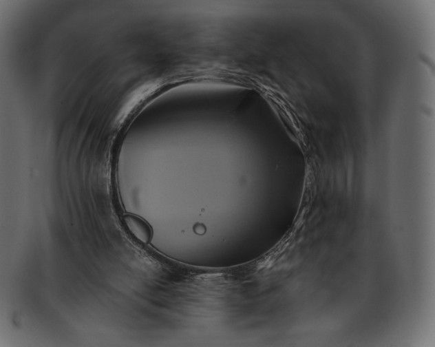 X0000091700054200709071359