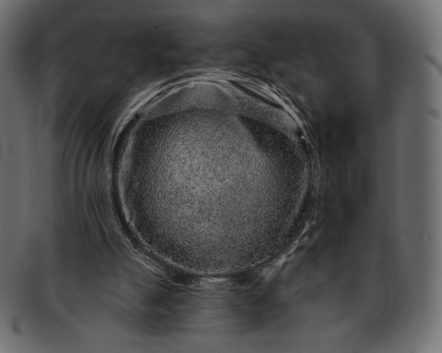 X0000091700055200709071359