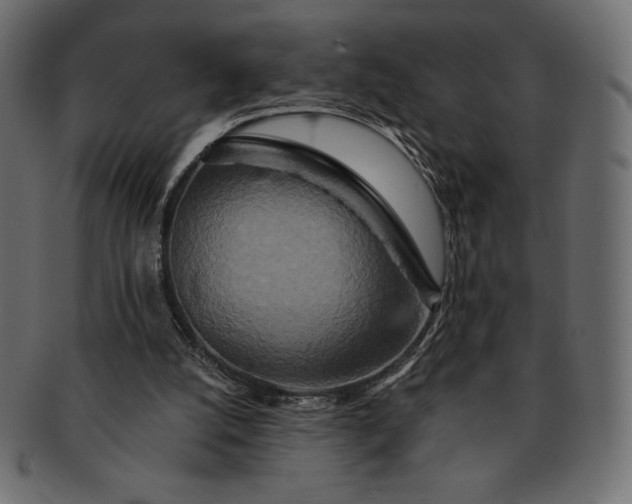 X0000091700056200709071359