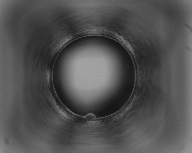 X0000091700057200709071359