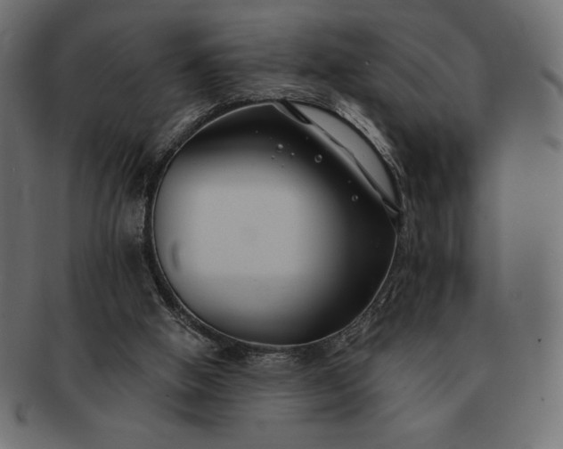 X0000091700058200709071359