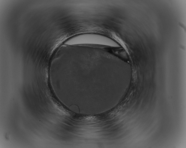 X0000091700059200709071359