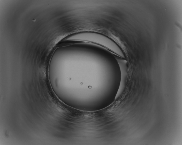 X0000091700060200709071359