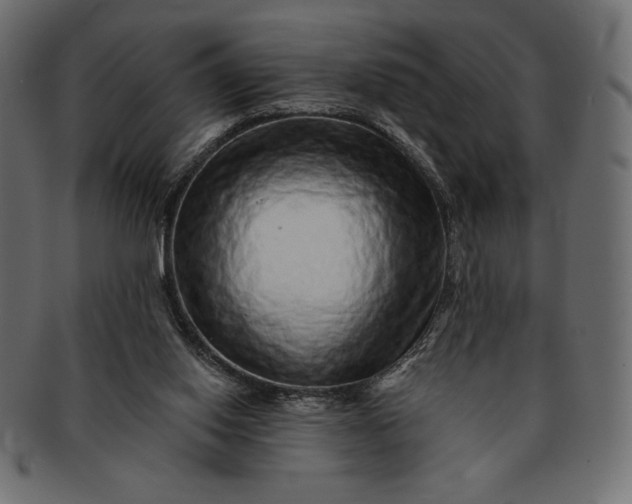 X0000091700062200709071359