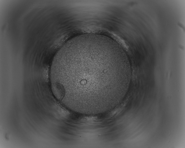 X0000091700065200709071359