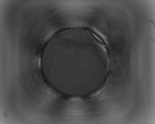 X0000091700067200709071359