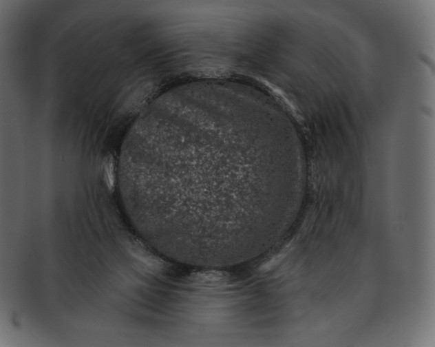 X0000091700069200709071359