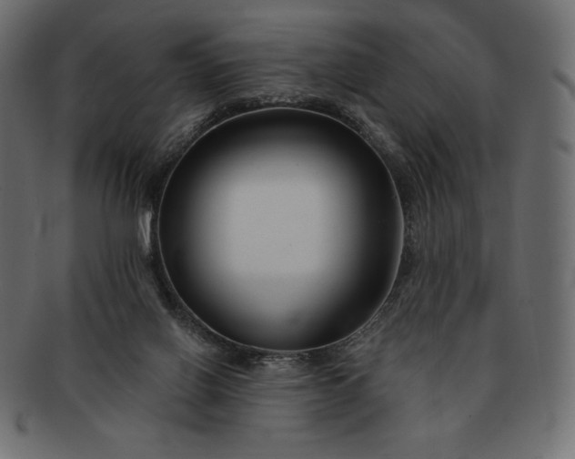 X0000091700070200709071359