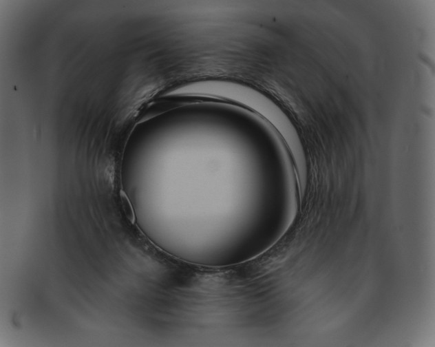 X0000091700072200709071359