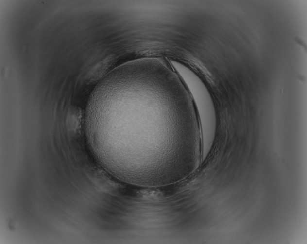 X0000091700073200709071359