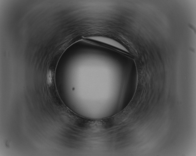 X0000091700075200709071359