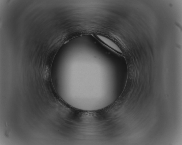 X0000091700077200709071359