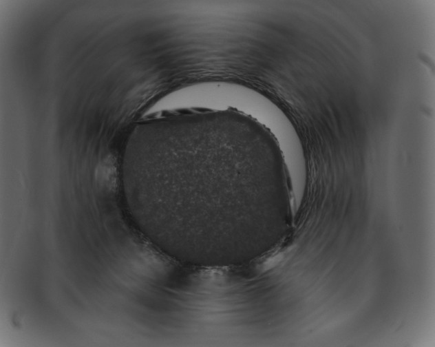 X0000091700080200709071359