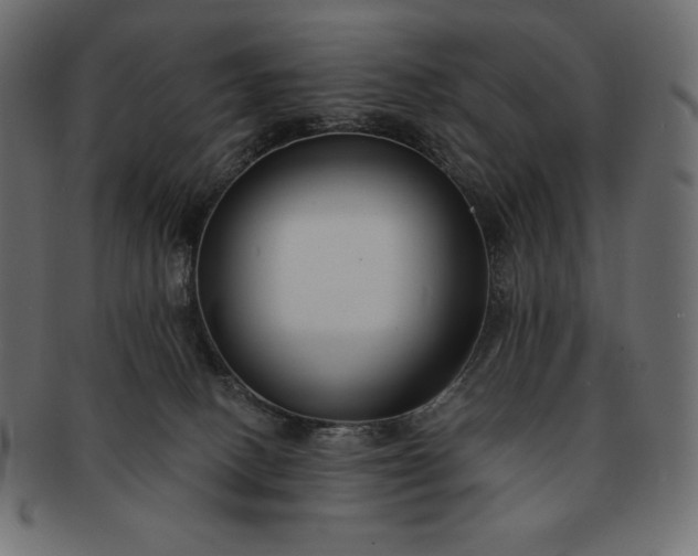 X0000091700082200709071359