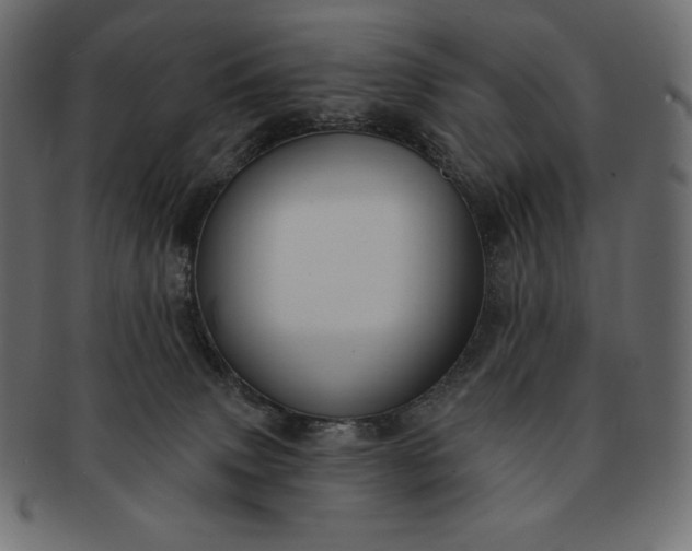 X0000091700083200709071359