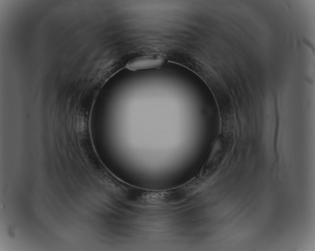 X0000091700084200709071359