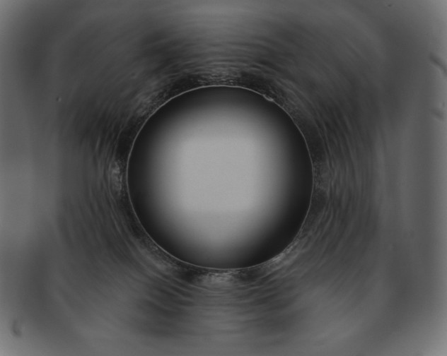 X0000091700086200709071359