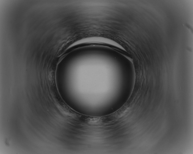 X0000091700088200709071359