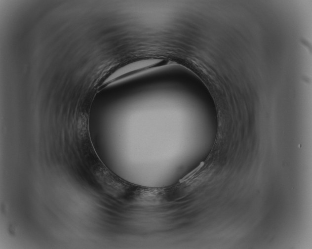 X0000091700096200709071359