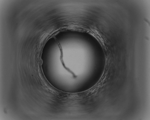 X0000091700097200709071358