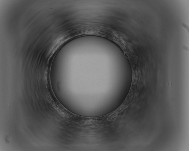 X0000091700098200709071358