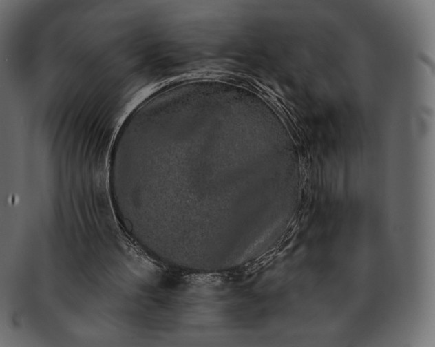 X0000091700100200709071358